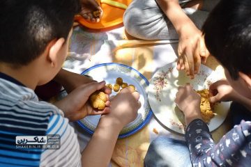 اردوی دو روزه کلم پلو شیرازی 6 کوکو سیب زمینی