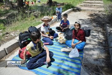 اردوگاه امام علی 17 شیراز