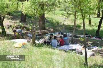 اردوگاه امام علی 9 شیراز