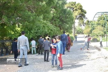 بازدید از باغ ارم 17 درخت