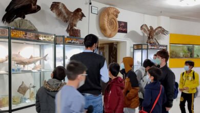 بازدید از موزه تاریخ طبیعی 4 بازدید از موزه تاریخ طبیعی
