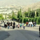 برنامه های اردویی 4 کوهپیمایی خانوادگی