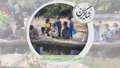 کلاس درس علوم در طبیعت 5 کلاس درس علوم در طبیعت